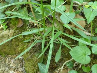 Img.VTax2946.Ex1.Img2
