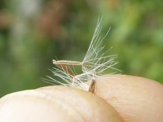 Img.VTax2991.Ex4.Img3