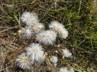 Img.VTax2996.Ex1.Img5