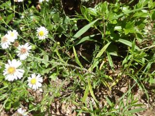 Img.VTax3000.Ex3.Img1