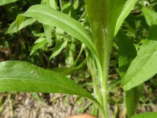 Img.VTax3000.Ex3.Img6