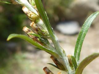 Img.VTax3029.Ex1.Img1
