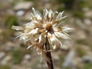 Img.VTax3029.Ex2.Img7
