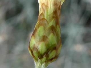 Img.VTax3038.Ex2.Img1