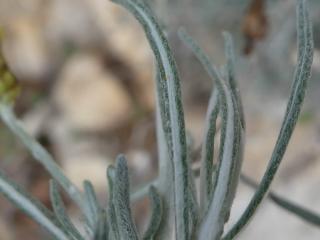 Img.VTax3038.Ex2.Img4