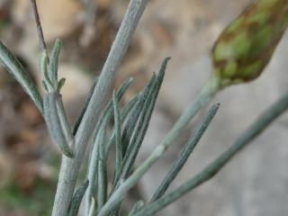 Img.VTax3038.Ex2.Img6