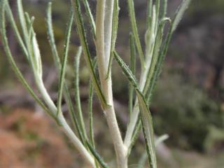 Img.VTax3039.Ex1.Img1