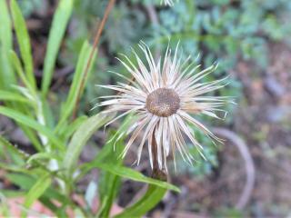 Img.VTax3039.Ex1.Img4