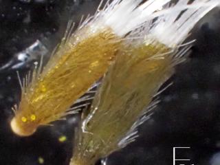 Img.VTax3039.Ex2.Img1