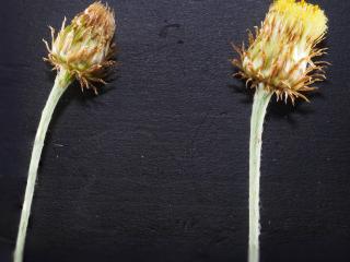 Img.VTax3039.Ex2.Img7