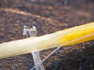 Img.VTax3039.Ex2.Img8
