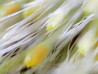 Img.VTax3039.Ex2.Img9