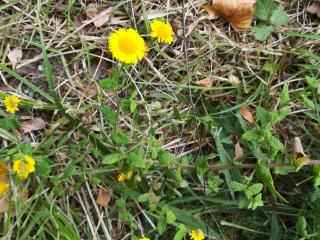 Img.VTax3051.Ex1.Img5