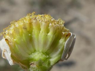 Img.VTax3091.Ex2.Img3