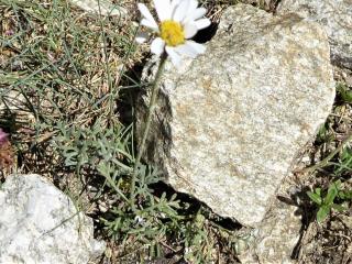 Img.VTax3093.Ex1.Img5