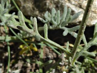 Img.VTax3093.Ex1.Img6