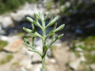 Img.VTax3093.Ex1.Img8