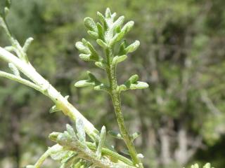 Img.VTax3093.Ex1.Img9