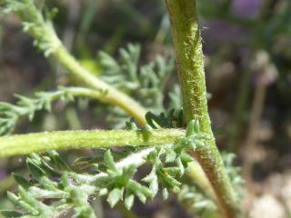 Img.VTax3111.Ex1.Img5