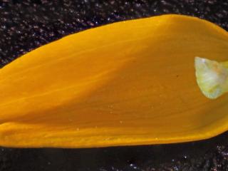 Img.VTax3115.Ex3.Img2