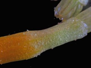 Img.VTax3115.Ex3.Img4