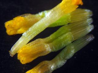 Img.VTax3124.Ex1.Img7