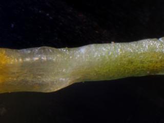 Img.VTax3124.Ex1.Img8