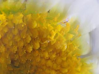 Img.VTax3125.Ex2.Img7