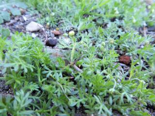 Img.VTax3131.Ex1.Img1