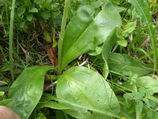Img.VTax3156.Ex3.Img5