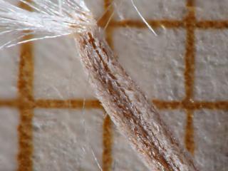Img.VTax3161.Ex3.Img1