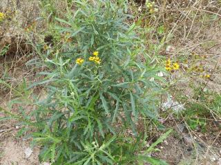 Img.VTax3171.Ex1.Img1