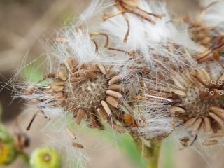 Img.VTax3171.Ex1.Img6