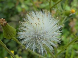 Img.VTax3175.Ex1.Img4