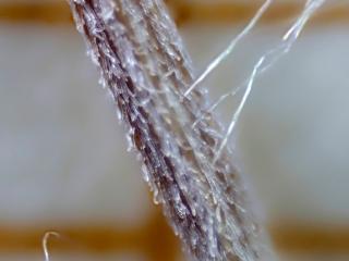 Img.VTax3175.Ex3.Img1