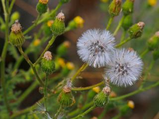 Img.VTax3176.Ex2.Img1