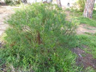 Img.VTax3182.Ex1.Img4