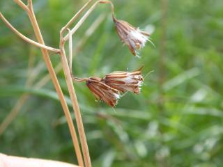 Img.VTax3182.Ex1.Img5