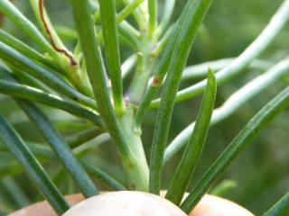Img.VTax3182.Ex1.Img6