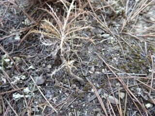 Img.VTax3195.Ex1.Img3