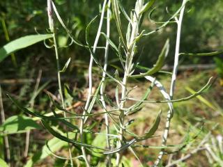 Img.VTax3204.Ex1.Img1