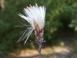 Img.VTax3204.Ex1.Img4