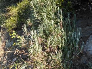 Img.VTax3204.Ex1.Img5