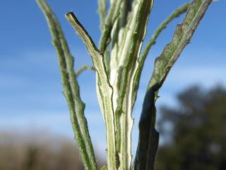 Img.VTax3204.Ex1.Img6