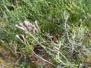 Img.VTax3204.Ex1.Img7