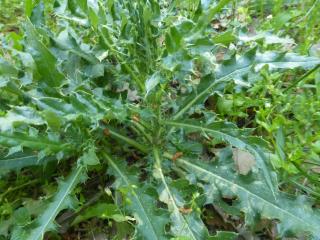 Img.VTax3208.Ex2.Img1