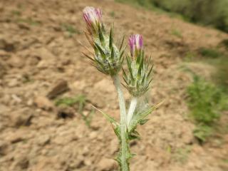 Img.VTax3208.Ex2.Img3