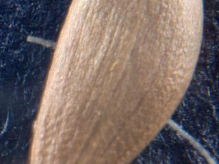 Img.VTax3210.Ex1.Img1