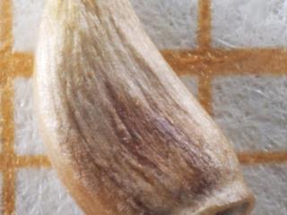 Img.VTax3215.Ex1.Img1