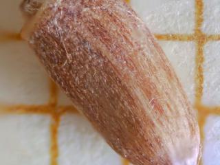 Img.VTax3228.Ex2.Img3